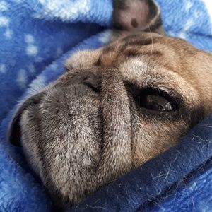 Meet your Posher, Penny